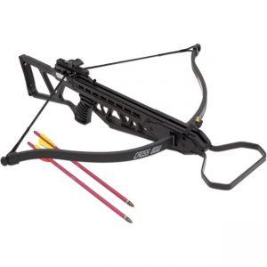 120 lb Black Pistol Crossbow Archery Hunting Gun W/ 2 Arrows/Bolts Snake Eye