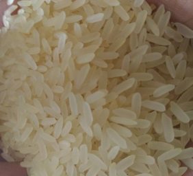 IR-64-Parboiled-1